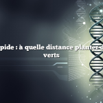 Réponse rapide : à quelle distance planter des haricots verts